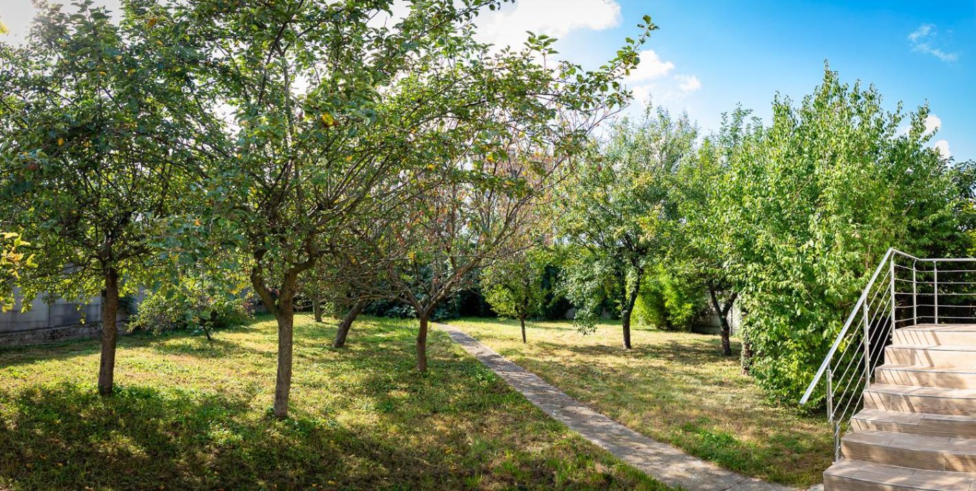 Residence Artemis Paris Orly Aeroport Villeneuve le Roi Bagian luar foto